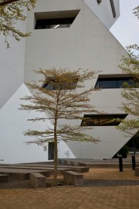 pexels photo 34024504