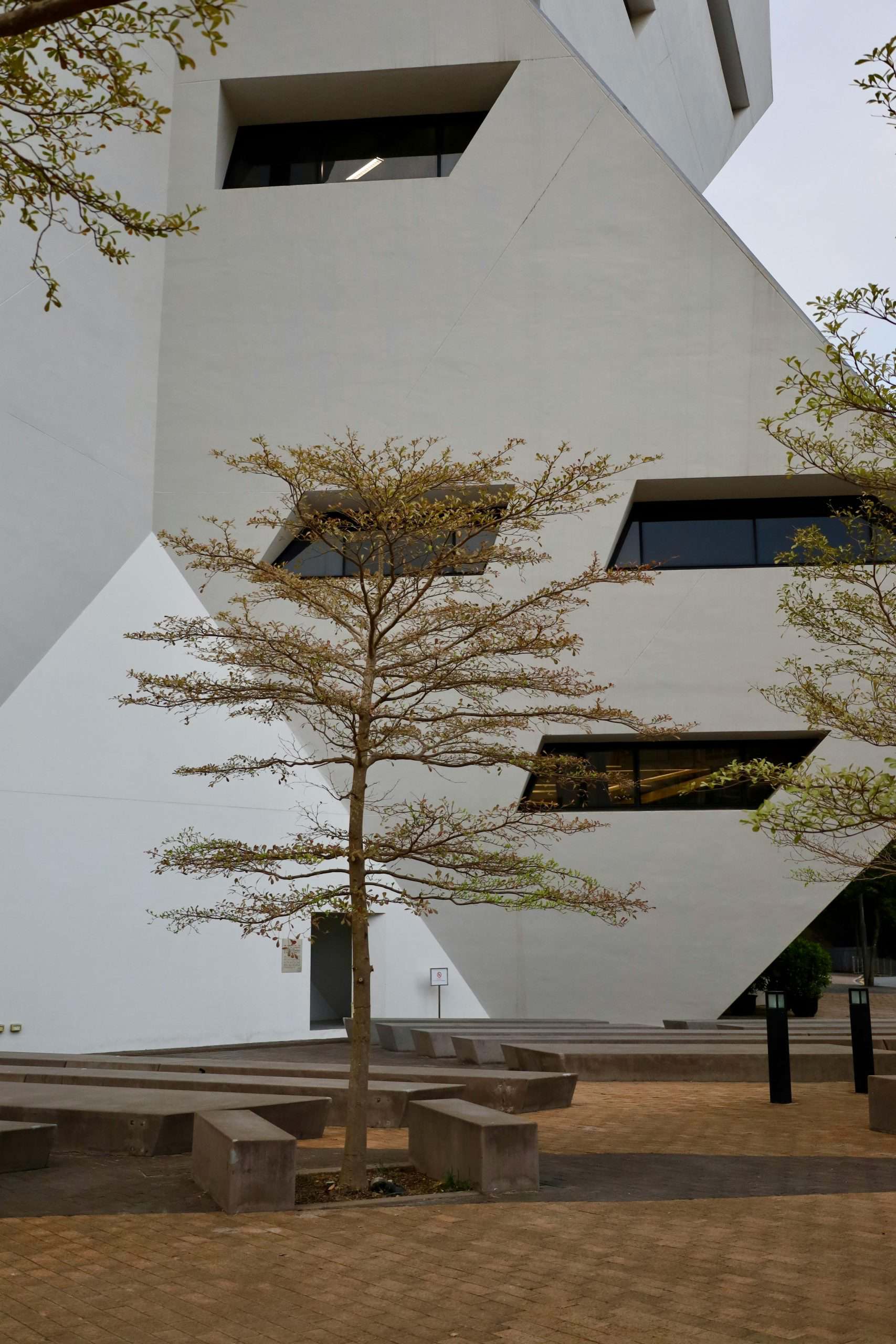 pexels photo 34024504 scaled